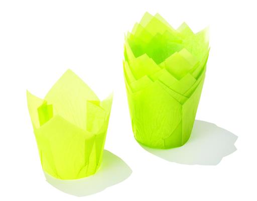 PIROTTINI TULIP DIAM. 50 PZ.120 VERDE