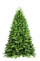 ALBERO N. JINGLE C.PIGNE + PE CM.240