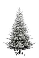 ALBERO N. NOEL FLOCCATO + PE CM.210