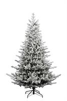 ALBERO N. NOEL FLOCCATO + PE CM.240