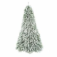 ALBERO N. SNOWY HILL    CM.180