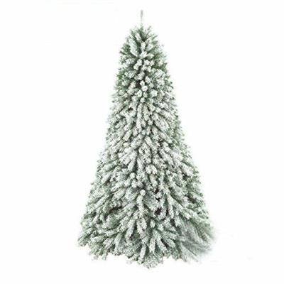 ALBERO N. SNOWY HILL    CM.270