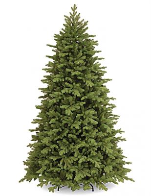 ALBERO N. POLY PRINCETON CM.225