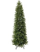 ALBERO N. POLY MARIBOR  CM. 225 RAMI 2568