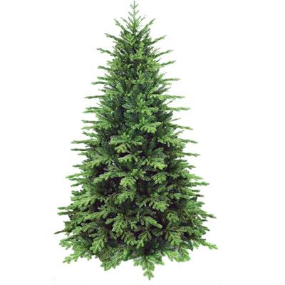 ALBERO N. POLY OLD VALLEY SPRUCE CM.210