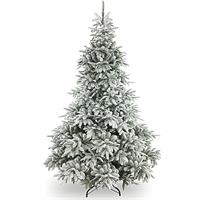 ALBERO N. POLY ANDORRA  CM.210 INNEVATO