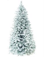 ALBERO N. POLY WHITE    ALASKA CM. 210