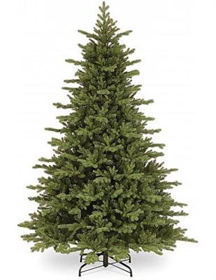 ALBERO N. POLY VIENNA   CM.240