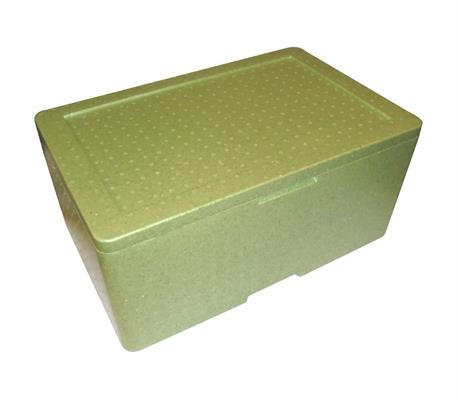 CASSA TERMICA CT10  MM. 604X425X265 VERDE