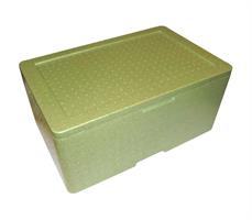 CASSA TERMICA CT10  MM. 604X425X265 VERDE