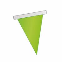 FESTONE BANDIERA TRIANGOLARE MT.10 PVC VERDE LIME