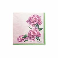 TOVAGLIOLI 33X33 PZ.20  3V. PEONIA ROSA