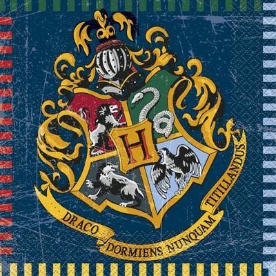 TOVAGLIOLI 33X33 2V. PZ.16 HARRY POTTER