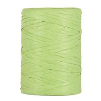 RAPHIA PAPER MM.8 MT.100 LIGHT GREEN ECO-FRIENDLY