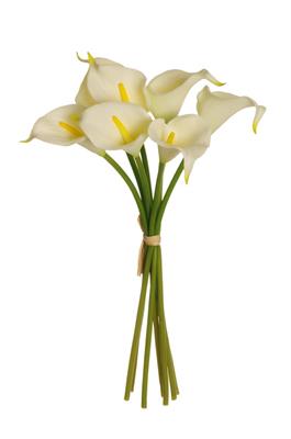 CALLA MINI BUNDLE X 7   CREAM