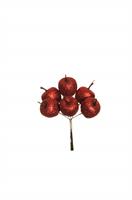 PICK APPLE GLITTER PZ.6  RED