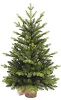 ALBERO PINETTO PE+PVC CON BASE JUTA CM.60