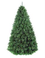 ALBERO N. GREEN PEAK PINE CM.210