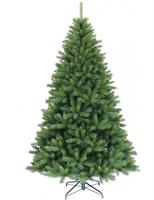 ALBERO N. LOGAN PINE CM.270