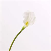 CALLA IN LATTICE CREMA  CM.67