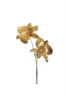 PICK ORCHIDEA METALLIC  GOLD