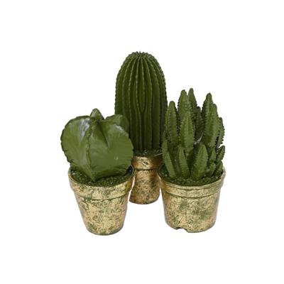 CACTUS VERDE IN RESINA  DIAM. 9X16 H.