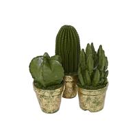 CACTUS VERDE IN RESINA  DIAM. 9X16 H.